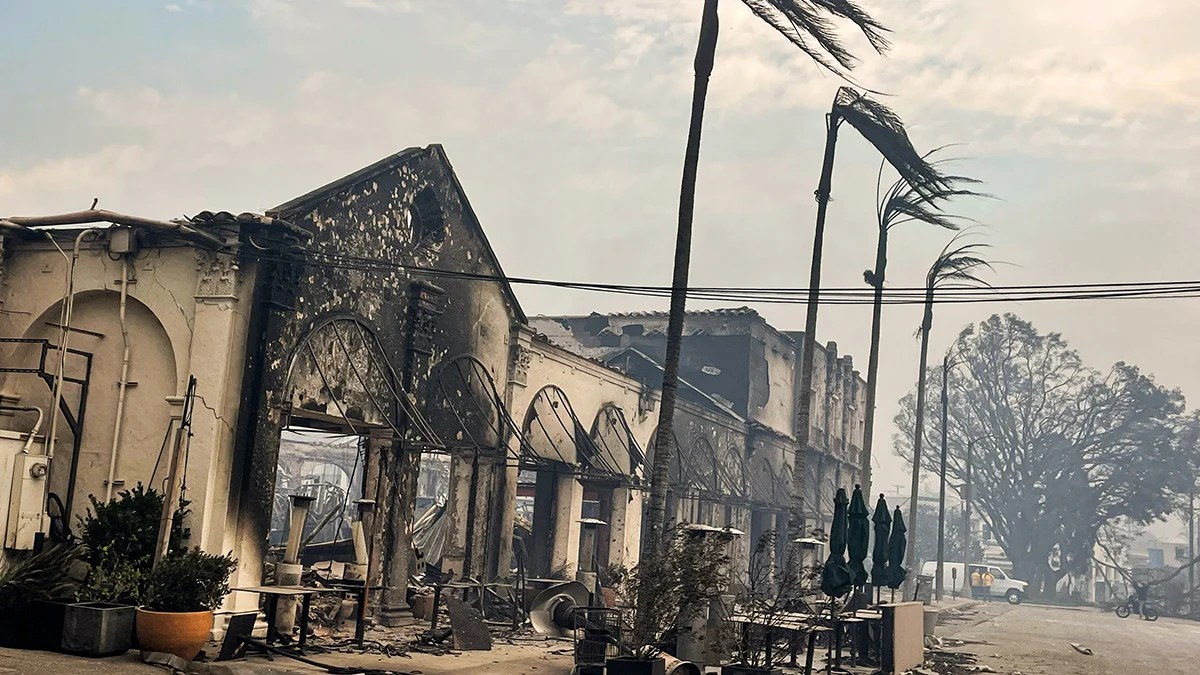 Pacific Palisades Is Gone. Up Close and on the Ground It’s Even Worse