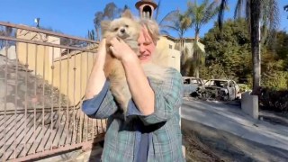 Watch: Palisades Fire Victim Tearfully Reunites With Lost Dog Who Survived 5 Nights in Wreckage