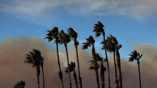 Sony Pledges $5 Million to Los Angeles Wildfire Relief Funds